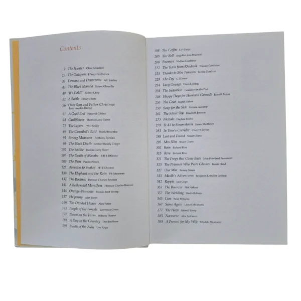 The Best of South African Short Stories: Over Seventy illustrated stories of our land and its people - Anne Turner (Editor) - Image 2