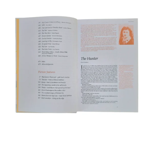 The Best of South African Short Stories: Over Seventy illustrated stories of our land and its people - Anne Turner (Editor) - Image 3