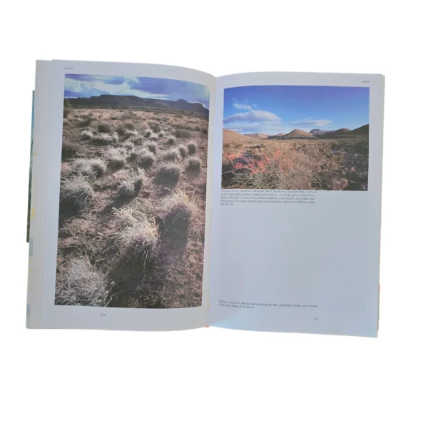 The Best of South African Short Stories: Over Seventy illustrated stories of our land and its people - Anne Turner (Editor) - Image 4