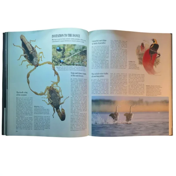 Exploring the Secrets of Nature - Reader's Digest - Image 5
