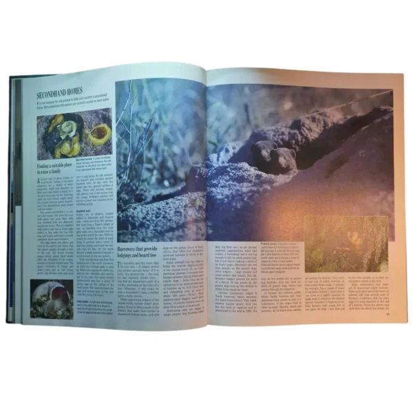 Exploring the Secrets of Nature - Reader's Digest - Image 4