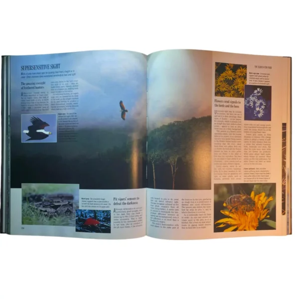 Exploring the Secrets of Nature - Reader's Digest - Image 3