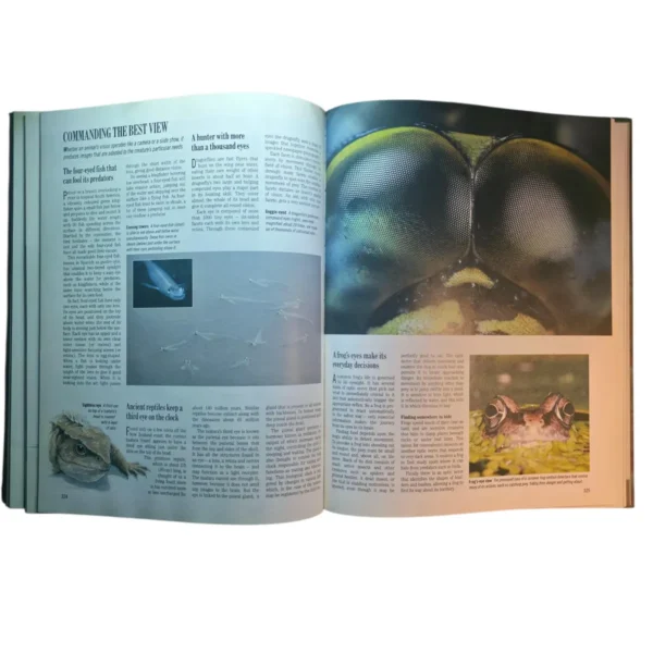 Exploring the Secrets of Nature - Reader's Digest - Image 2