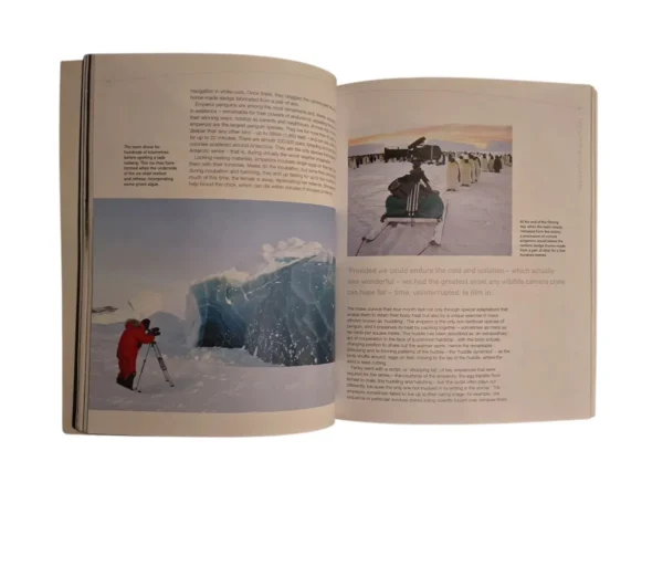 Planet Earth - David Nicholson - Image 6