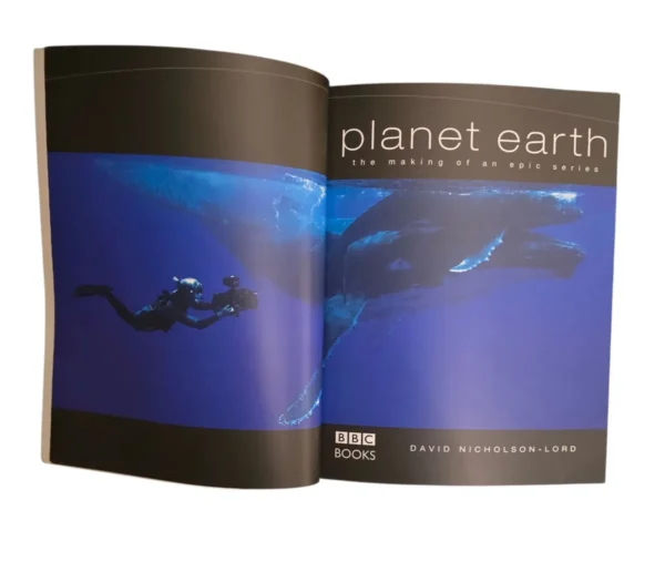 Planet Earth - David Nicholson - Image 4