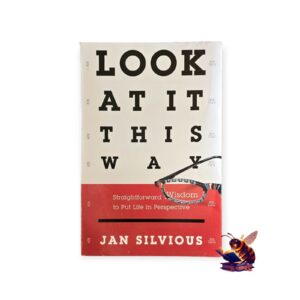 Look at it this way - Jan Silvious