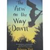 The View on the Way Down - Rebecca Wait